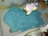 DSC01051.jpg
