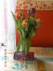 DSCN5910.jpg