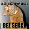 jestem-kot-morderca-bez-serca-pl-000000.jpg