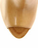 camel3.jpg