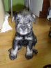 SAM_0281.jpg