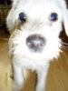 SAM_0274.jpg