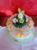 DSC00204.jpg
