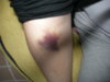 DSCN4693.jpg