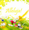 alleluja1.jpg
