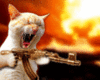 funny.gif