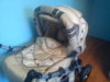 DSC00355.jpg