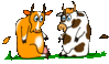 cows-hug.gif