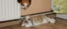 DSC09744.jpg