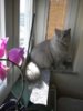 DSCN0395.jpg