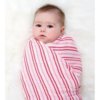 aden-anais-swaddling-blanket-1.jpg