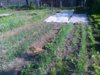 20120523424.jpg