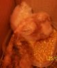 100_1375.jpg