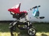 DSC01211.jpg
