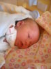 DSCN6283.jpg