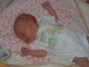 DSCN6421.jpg