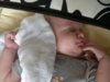 DSCN6076.jpg