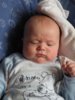 DSCN6104.jpg