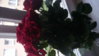 P1180670.jpg P1180670.jpg