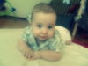 SAM_3676.jpg