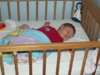 PICT0521.jpg