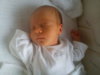 DSC00076.jpg