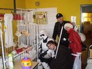 Obraz 025.jpg Obraz 025.jpg