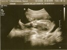 scan0001.jpg