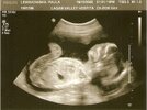 scan0002.jpg