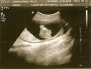 scan0003.jpg