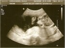 scan0009.jpg