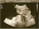 scan0008.jpg