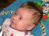 DSCF0095.jpg DSCF0095.jpg