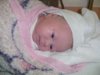 DSC00009.jpg
