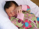 DSCF7281.jpg