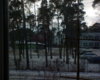 05.01.2009 017.jpg