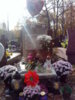DSC00348.jpg