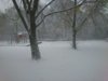 DSC_0111.jpg