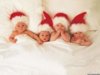 4-little-babies-santa-caps.jpg