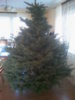 22.12.2012r.jpg