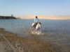 img092.jpg