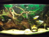 DSCF6921.jpg