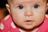 DSC_0779a.jpg DSC_0779a.jpg