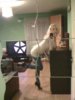 IMG_0129.jpg IMG_0129.jpg
