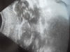 DSCN1821.jpg DSCN1821.jpg