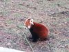 20130131_142345.jpg