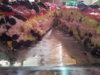 20130215_085225.jpg