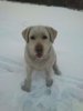 DSC_0260.jpg DSC_0260.jpg
