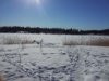 20130309_131559.jpg