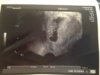 IMG_2533.jpg IMG_2533.jpg